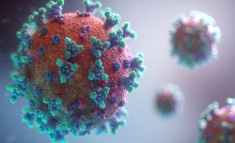 Le coronavirus, un produit de laboratoire ?