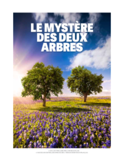 Le mystère des deux arbres